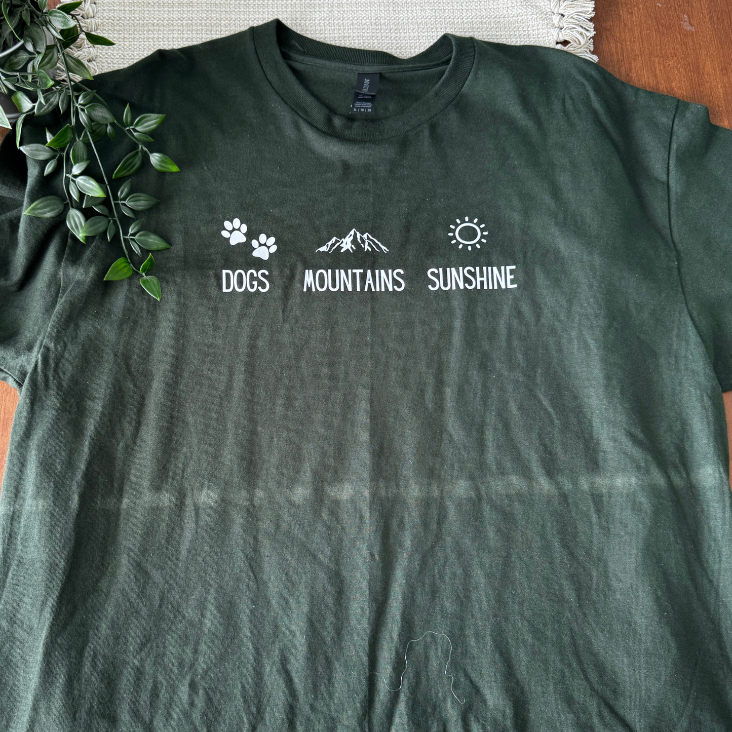 Dogs, Mountains, Sunshine