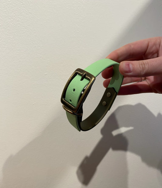 Biothane Collar - Buckle