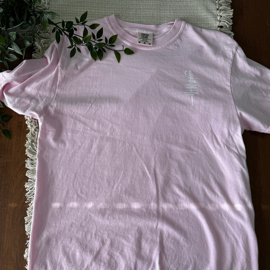 No City Lights, just Campfire Nights