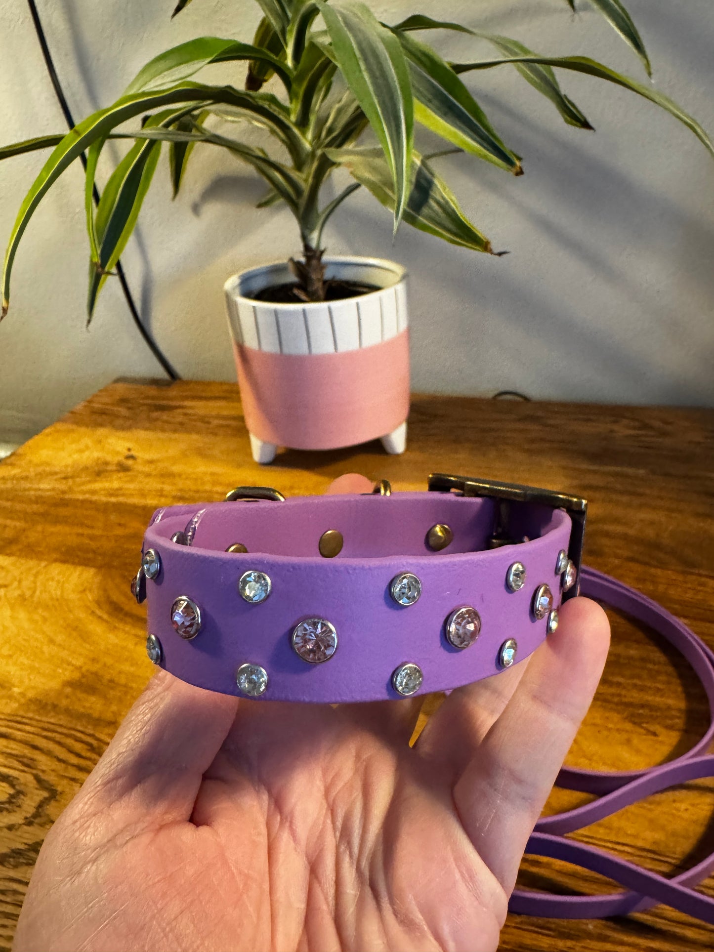 Biothane Bling Collar
