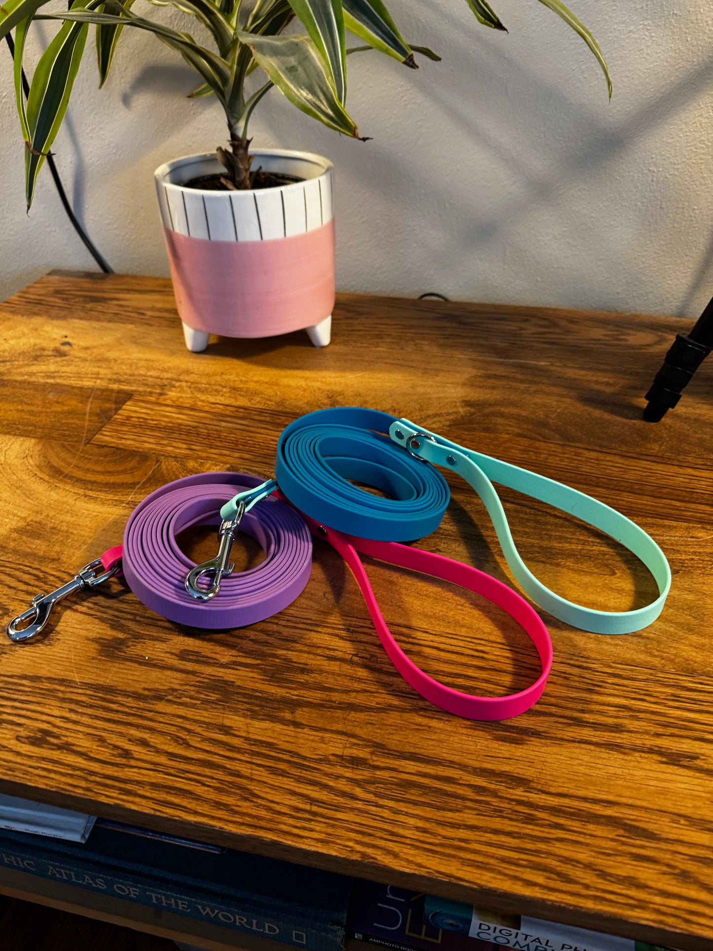 Biothane Leash