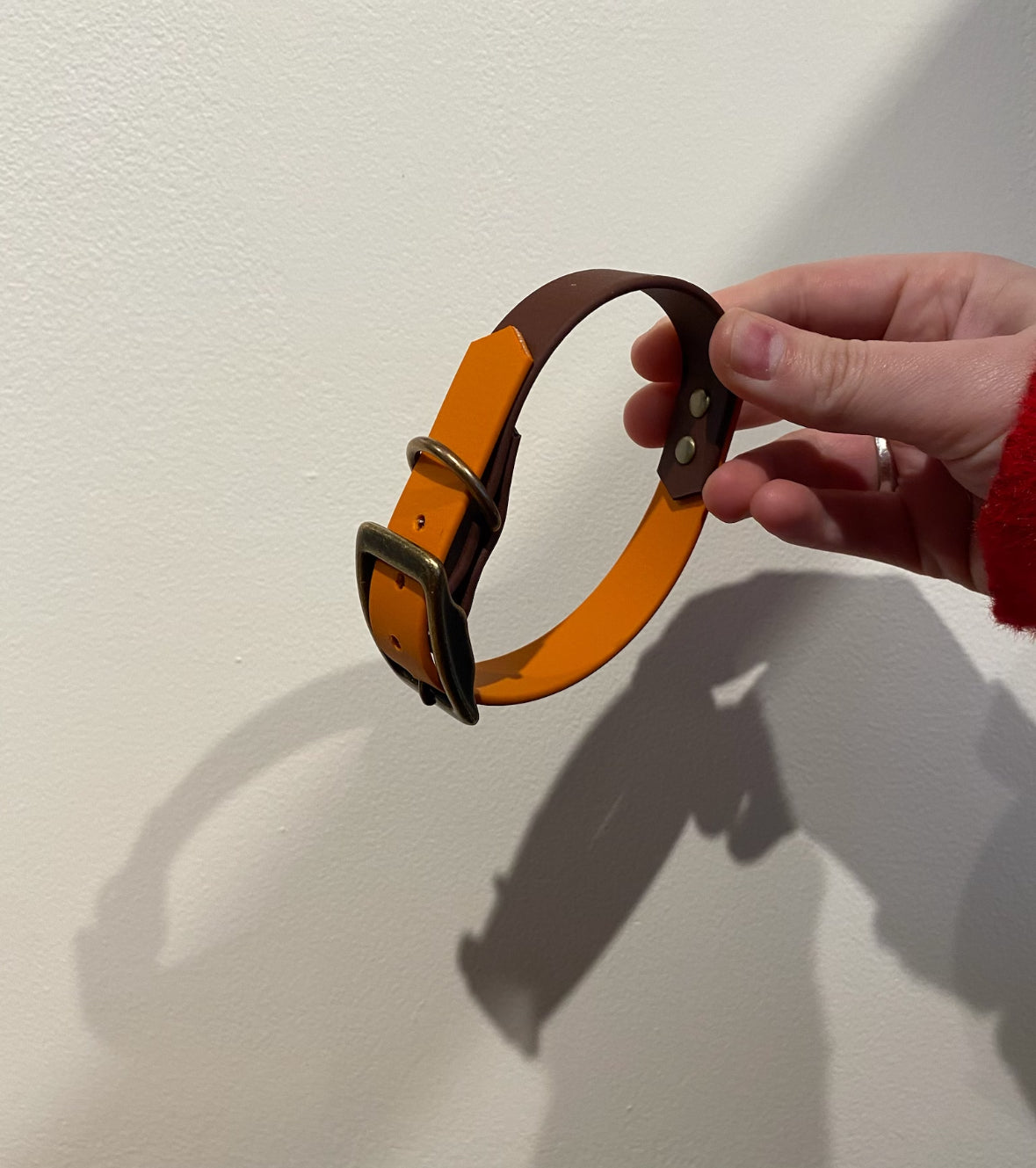 Biothane Collar - Buckle