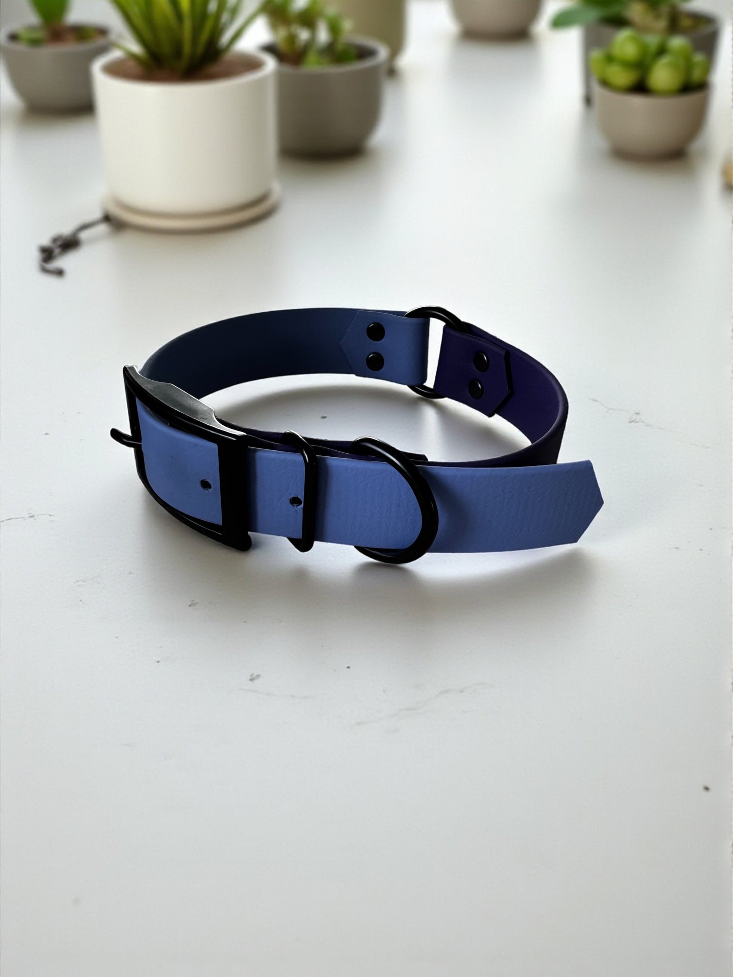 Biothane Collar - Buckle