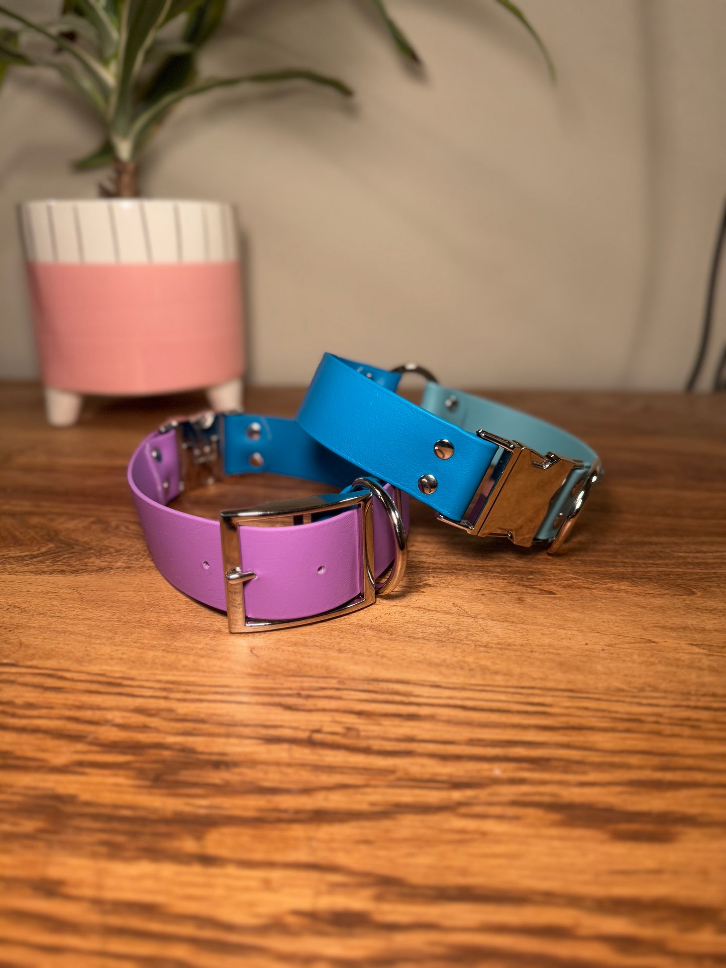 Biothane Collar - Side release