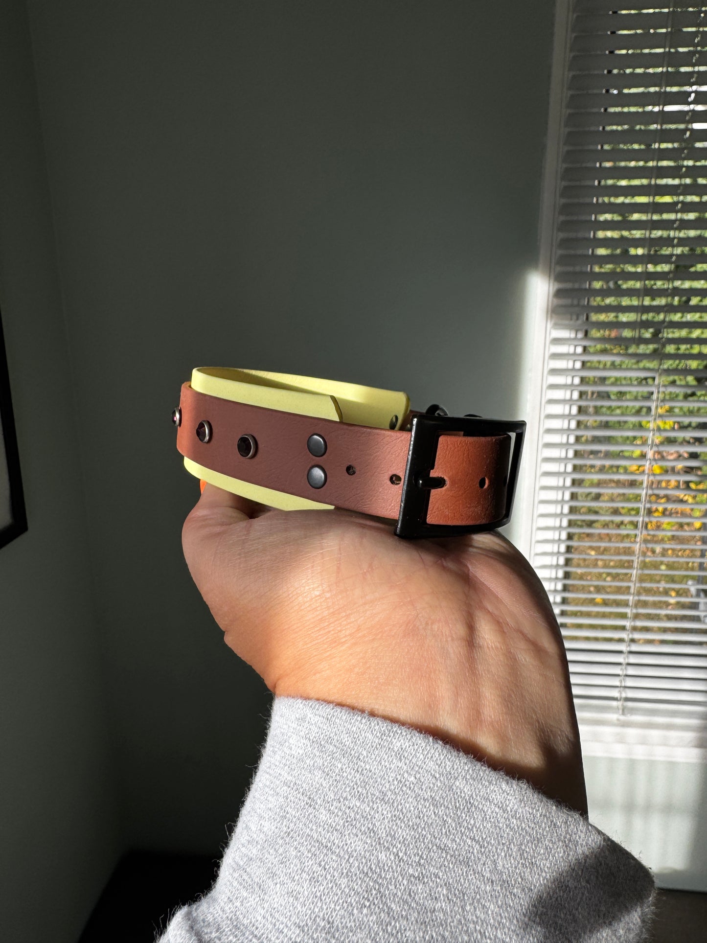 Biothane Bling Collar