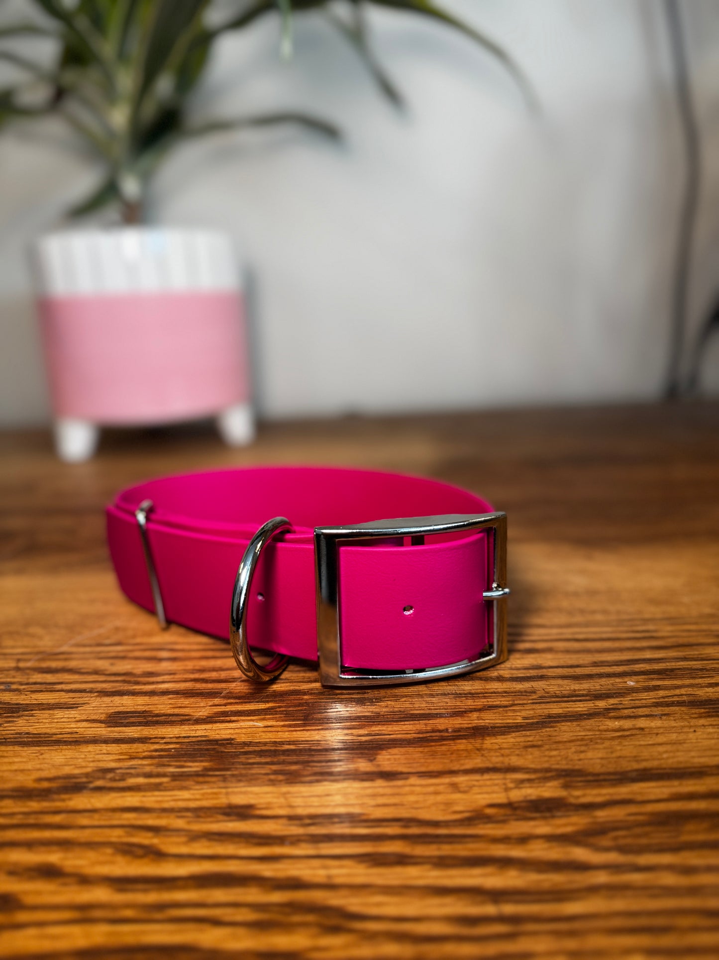 Biothane Collar - Buckle