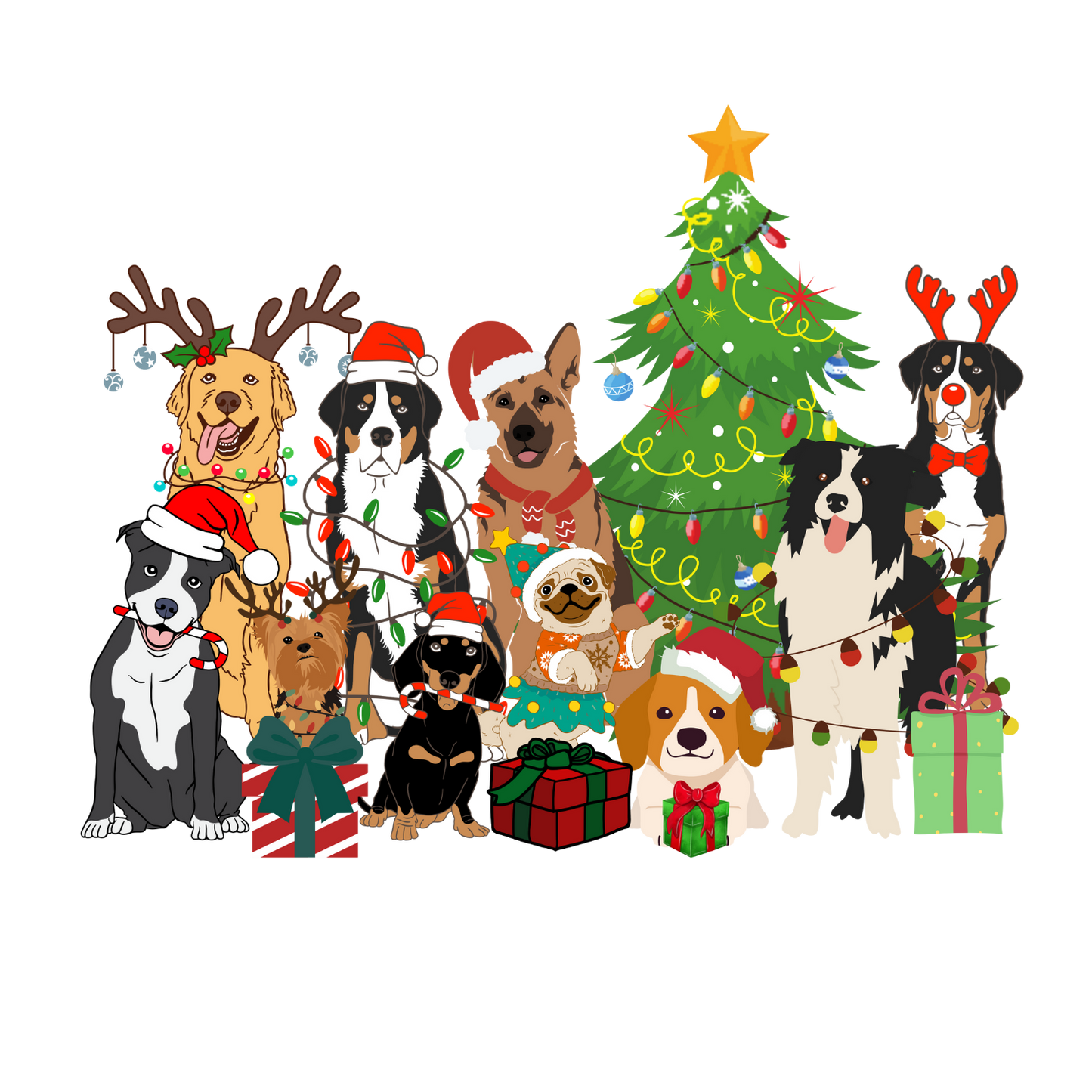 12 day Advent Calendar (PRE-ORDER)